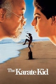Karate Kid (1984) Cały Film – eKino