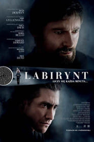 Labirynt (2013) Cały Film – eKino