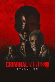 Zabójcze umysły Sezon 16 na eKino