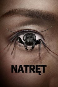 Natręt (2025) - Vider