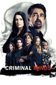 Zabójcze umysły Sezon 12 na eKino