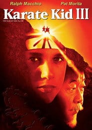 Karate Kid 3 (1989) Cały Film – eKino