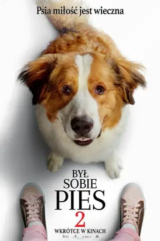 Był sobie pies 2 na eKino | Cały Film