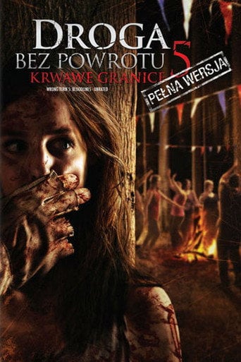 Droga bez powrotu 5: Krwawe granice na eKino | Cały Film