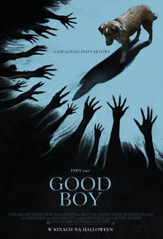 Good boy na eKino | Cały Film