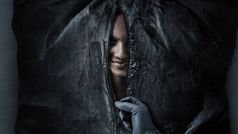 Uśmiechnij się (2022) Cały Film – eKino