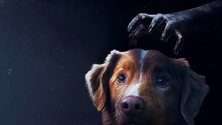 Good boy na eKino | Cały Film