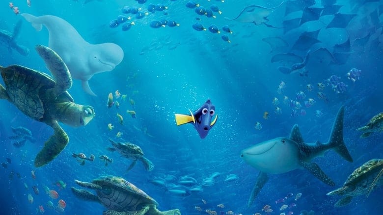 Gdzie jest Dory (2016) Cały Film – eKino